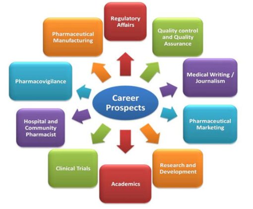 High-Paying Career Opportunities After B. Pharm from RBMI Group of Institutions